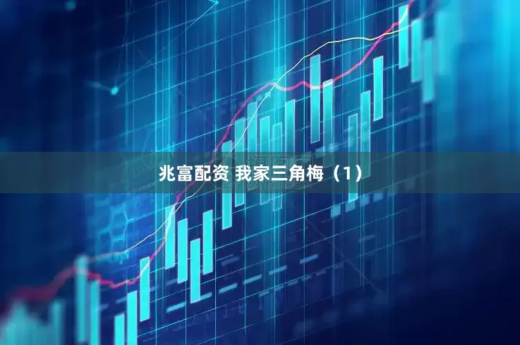 兆富配资 我家三角梅（1）