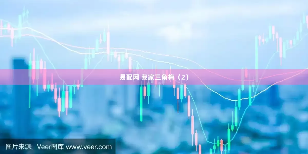 易配网 我家三角梅（2）