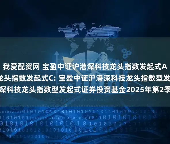 我爱配资网 宝盈中证沪港深科技龙头指数发起式A,宝盈中证沪港深科技龙头指数发起式C: 宝盈中证沪港深科技龙头指数型发起式证券投资基金2025年第2季度报告