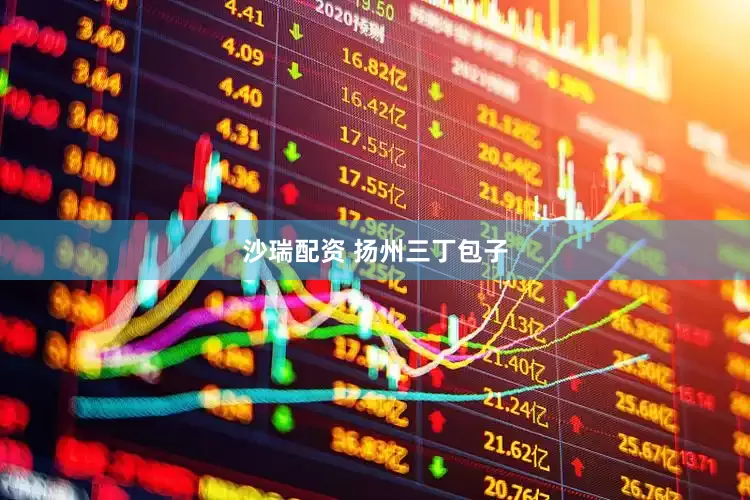 沙瑞配资 扬州三丁包子